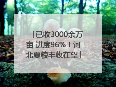 已收3000余万亩 进度96%！河北夏粮丰收在望