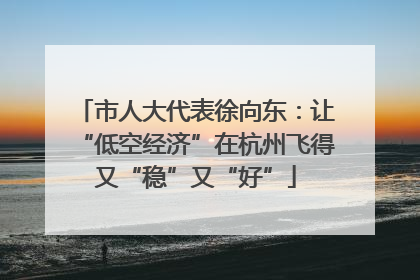 市人大代表徐向东：让“低空经济”在杭州飞得又“稳”又“好”