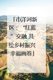 市洋河新区：“红蓝”交融 共绘乡村振兴幸福画卷
