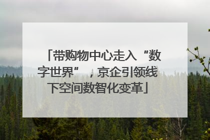 带购物中心走入“数字世界”，京企引领线下空间数智化变革