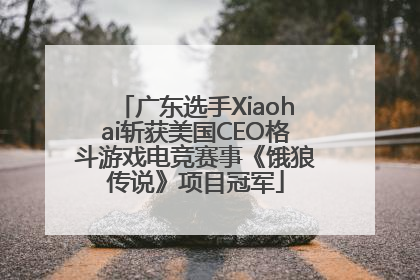 广东选手Xiaohai斩获美国CEO格斗游戏电竞赛事《饿狼传说》项目冠军