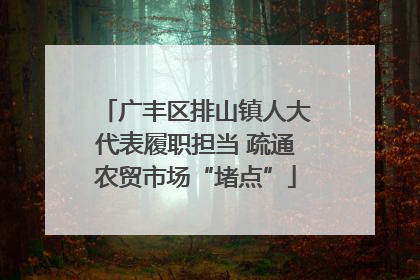 广丰区排山镇人大代表履职担当 疏通农贸市场“堵点”