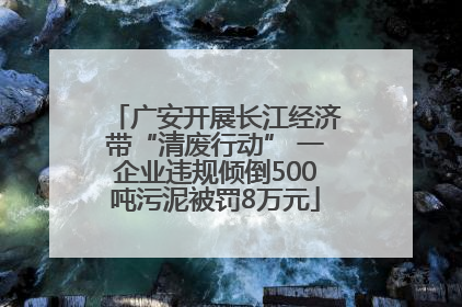 广安开展长江经济带“清废行动” 一企业违规倾倒500吨污泥被罚8万元