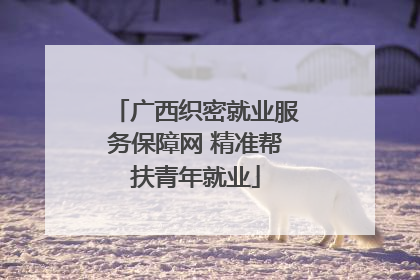 广西织密就业服务保障网 精准帮扶青年就业