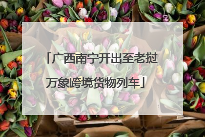 广西南宁开出至老挝万象跨境货物列车
