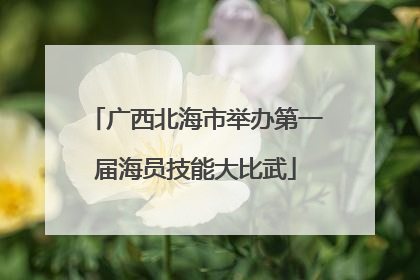 广西北海市举办第一届海员技能大比武