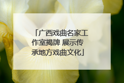 广西戏曲名家工作室揭牌 展示传承地方戏曲文化