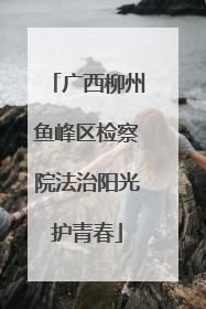 广西柳州鱼峰区检察院法治阳光护青春