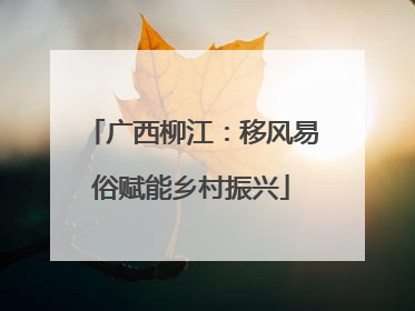 广西柳江：移风易俗赋能乡村振兴