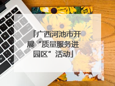广西河池市开展“质量服务进园区”活动