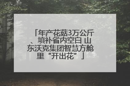 年产花菇3万公斤、填补省内空白 山东沃克集团智慧方舱里“开出花”