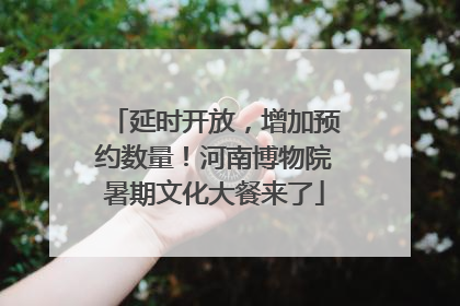 延时开放，增加预约数量！河南博物院暑期文化大餐来了