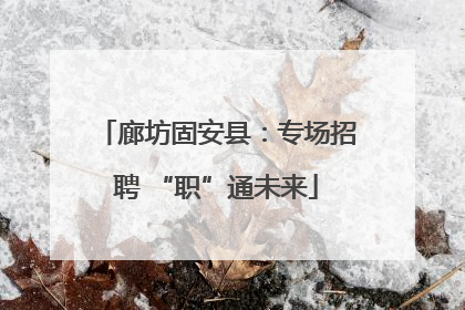廊坊固安县：专场招聘 “职”通未来