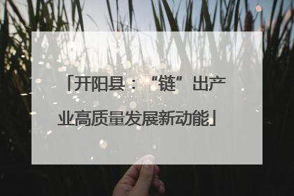 开阳县：“链”出产业高质量发展新动能