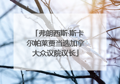 弗朗西斯·斯卡尔帕莱贾当选加拿大众议院议长