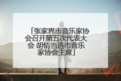 张家界市音乐家协会召开第五次代表大会 胡情当选市音乐家协会主席