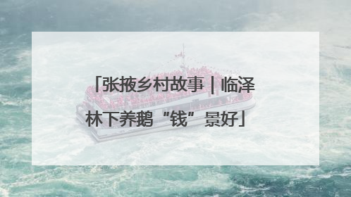 张掖乡村故事｜临泽林下养鹅“钱”景好