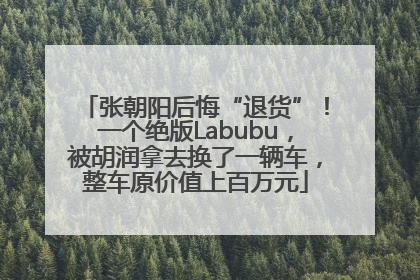 张朝阳后悔“退货”！一个绝版Labubu，被胡润拿去换了一辆车，整车原价值上百万元