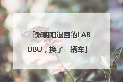 张朝阳退回的LABUBU，换了一辆车
