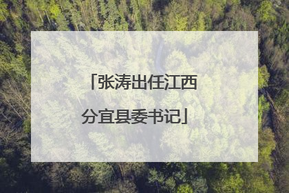 张涛出任江西分宜县委书记
