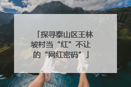 探寻泰山区王林坡村当“红”不让的“网红密码”