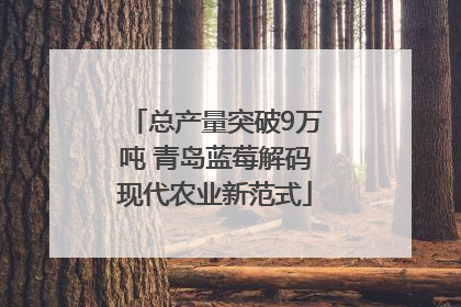 总产量突破9万吨 青岛蓝莓解码现代农业新范式