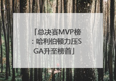 总决赛MVP榜：哈利伯顿力压SGA升至榜首