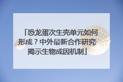 恐龙蛋次生壳单元如何形成？中外最新合作研究揭示生物成因机制