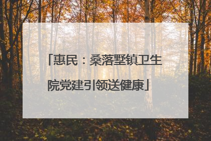 惠民：桑落墅镇卫生院党建引领送健康