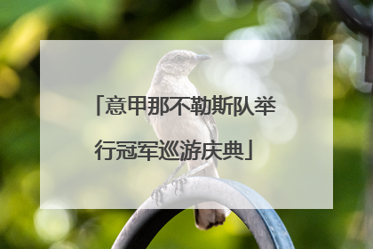 意甲那不勒斯队举行冠军巡游庆典