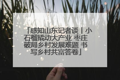 感知山东记者谈丨小石榴撬动大产业 枣庄破局乡村发展难题 书写乡村共富答卷