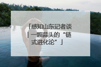 感知山东记者谈｜一颗蒜头的“链式进化论”
