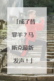 成了替罪羊？马斯克最新发声！