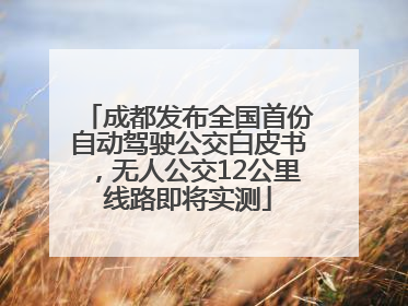 成都发布全国首份自动驾驶公交白皮书，无人公交12公里线路即将实测