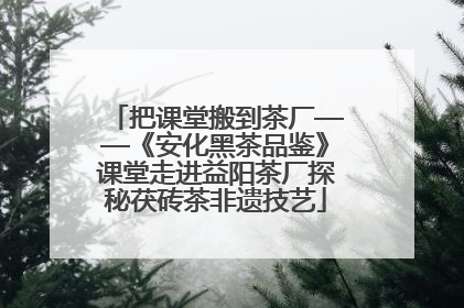 把课堂搬到茶厂——《安化黑茶品鉴》课堂走进益阳茶厂探秘茯砖茶非遗技艺