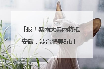 报！暴雨大暴雨将抵安徽，涉合肥等8市