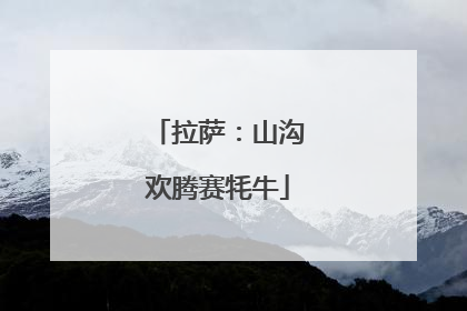 拉萨：山沟欢腾赛牦牛
