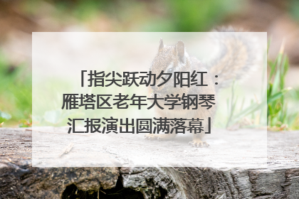 指尖跃动夕阳红：雁塔区老年大学钢琴汇报演出圆满落幕