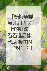 杨梅争鲜赛开启舌尖上的狂欢 看看谁最能代表浙江的“甜”？