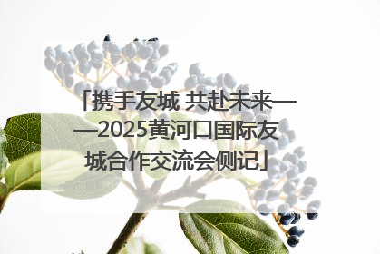 携手友城 共赴未来——2025黄河口国际友城合作交流会侧记