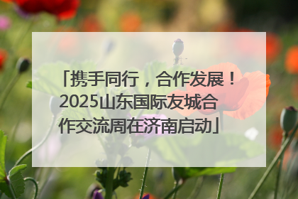 携手同行，合作发展！2025山东国际友城合作交流周在济南启动