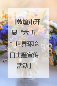 敦煌市开展“六·五”世界环境日主题宣传活动
