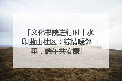 文化书院进行时｜水印蓝山社区：粽情暖邻里，端午共安康
