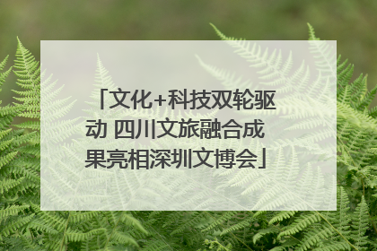 文化+科技双轮驱动 四川文旅融合成果亮相深圳文博会
