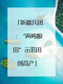 新疆兵团：“两吨粮田”示范田创高产