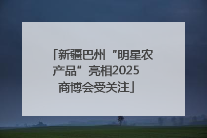 新疆巴州“明星农产品”亮相2025商博会受关注