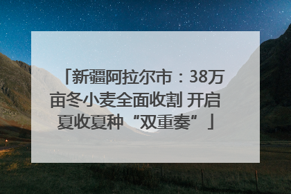 新疆阿拉尔市：38万亩冬小麦全面收割 开启夏收夏种“双重奏”