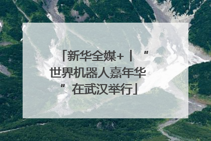 新华全媒+丨“世界机器人嘉年华”在武汉举行