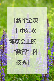 新华全媒+丨中东欧博览会上的“数智”科技秀