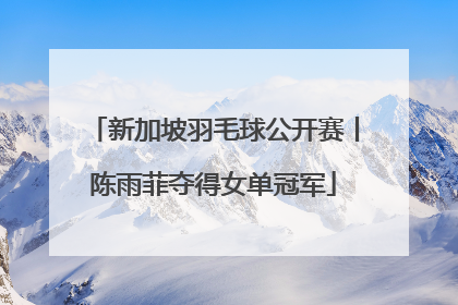 新加坡羽毛球公开赛丨陈雨菲夺得女单冠军